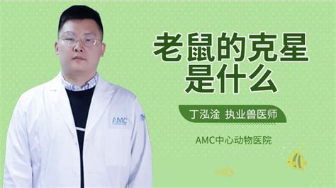 老鼠咬到|被老鼠咬了怎么办？这些科学处理方法你知道吗？